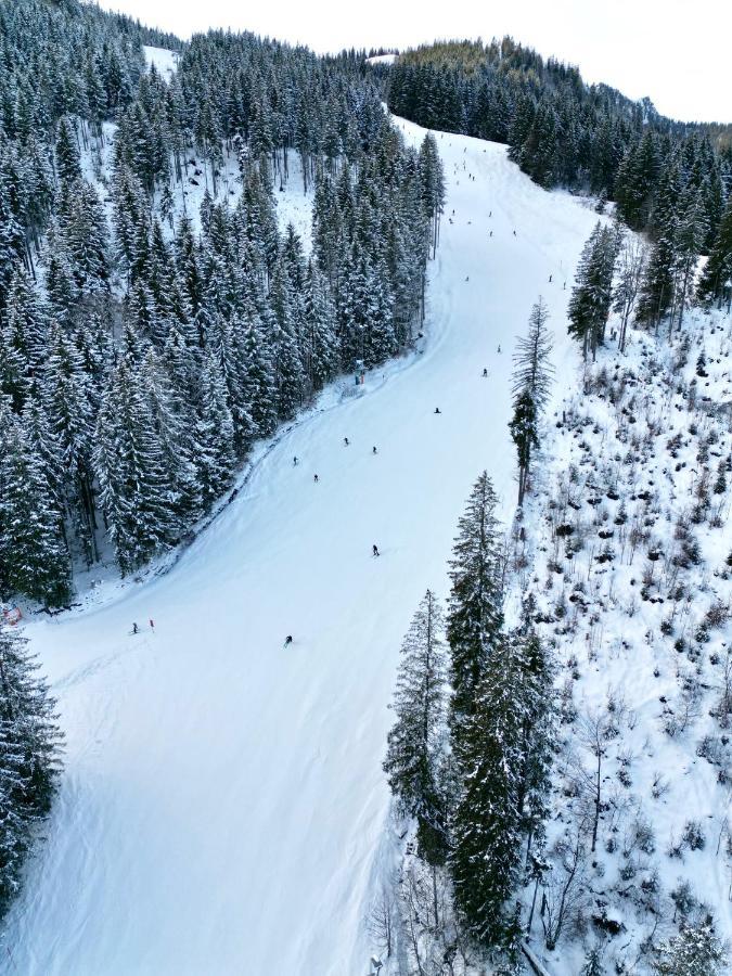 Alpenoase Schliersee - Grosse Suite Mit Sauna Oder Gemuetliche Studio Appartements Eksteriør bilde