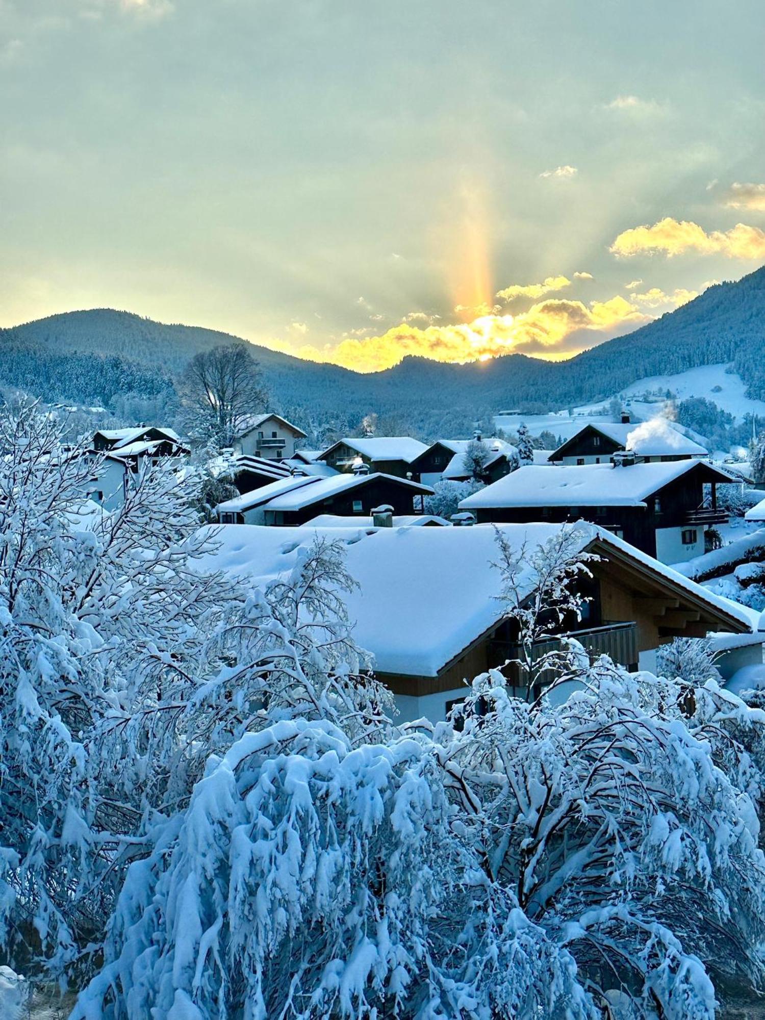 Alpenoase Schliersee - Grosse Suite Mit Sauna Oder Gemuetliche Studio Appartements Eksteriør bilde