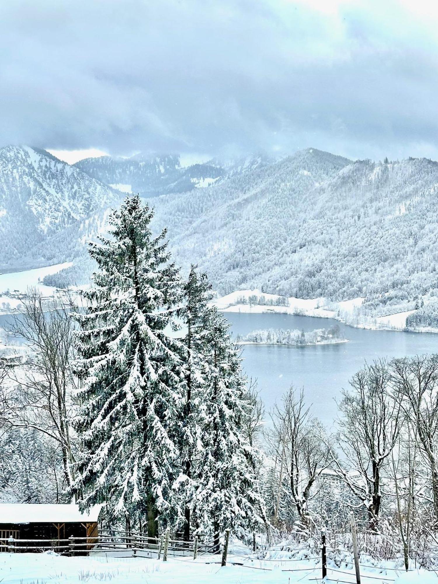 Alpenoase Schliersee - Grosse Suite Mit Sauna Oder Gemuetliche Studio Appartements Eksteriør bilde